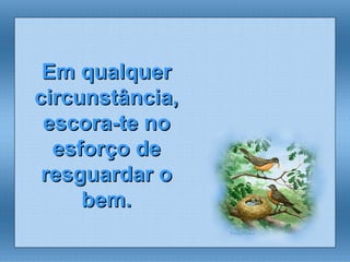 Em qualquer circunstância, escora-te no esforço de resguardar o bem. 