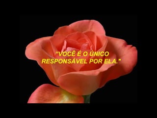 “ VOCÊ É O ÚNICO RESPONSÁVEL POR ELA."  