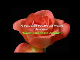 A pergunta ecoava na mente  de todos:  "Quem está nesse caixão"?   