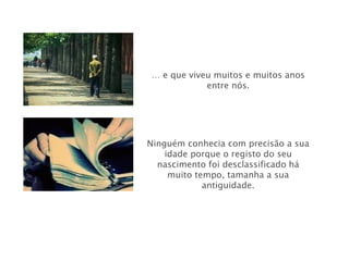 … e que viveu muitos e muitos anos
            entre nós.




Ninguém conhecia com precisão a sua
    idade porque o registo do seu
  nascimento foi desclassificado há
     muito tempo, tamanha a sua
             antiguidade.
 