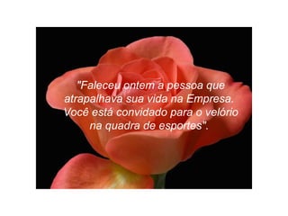 "Faleceu ontem a pessoa que
atrapalhava sua vida na Empresa.
Você está convidado para o velório
na quadra de esportes".
 
