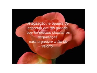 A agitação na quadra de
esportes era tão grande,
que foi preciso chamar os
seguranças
para organizar a fila do
velório.
 