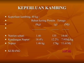 KEPERLUAN KAMBING Keperluan kambing, 40 kg : Bahan kering Protein  Tenaga (Kg)  (g)  (Mj) __________  _____  _____ Nutrien sehari  1.46  135  14.68 Kandungan Napier  18.4%  12.2%  7.95Mj/kg  Napier  1.46 kg  178g  11.61Mj KURANG  3.07 Mj 