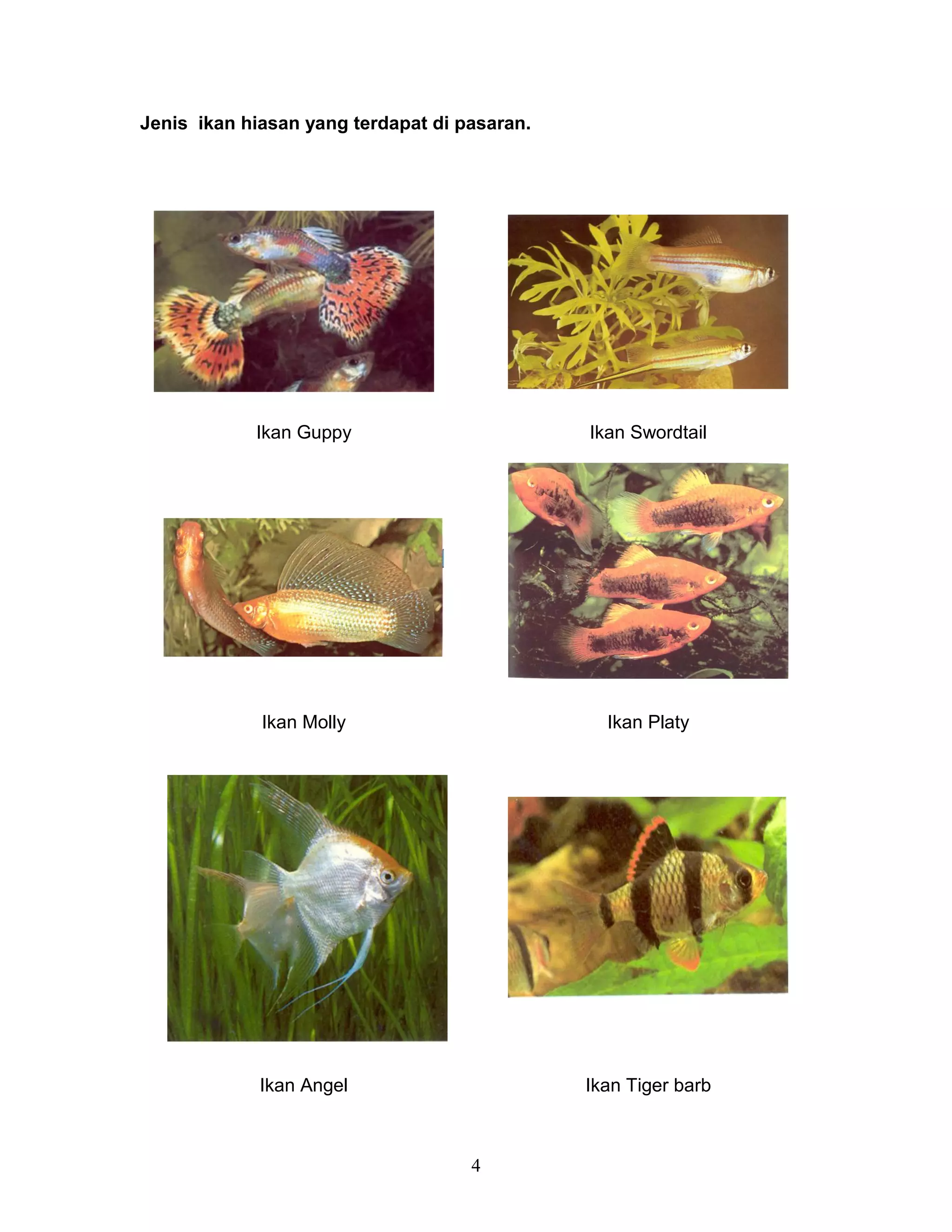 NOTA IKAN HIASAN 1 | PDF