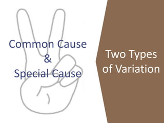 Common Cause
&
Special Cause
Two Types
of Variation
 