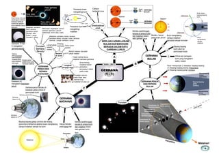 www.petaminda.com
Bayang-bayang
terang
(penumbra)
Bayang-bayang
gelap
(umbra)
Bayang-bayang
terang
(penumbra)
Orbit
bulan Orbit bumi
Bul an
Bumi
Matahari Matahari
Orbit bulan
Orbit bulan
Bumi Bulan
Bumi
menghalang
cahaya
matahari
Bulan dalam
bayang-bayang
bumi
Aktiviti haiwan berubah
untuk malam
Langit gelap
seperti
malam
Penumbra
Umbra
Matahari
Bulan
Bumi
Matahari semakin
kecil kerana
perlahan-lahan
ditutupi oleh
bulan. Langit
semakin gelap.
Mencapai kegelapan penuh
semasa gerhana penuh
(beberapa minit atau saat)
Matahari semakin besar kerana
perlahan-lahan tutupan bulan terbuka
semula. Langit semakin cerah
Turutan
Gerhana
Penuh
Gerhana penuh berlaku di
kawasan gelap umbra di
permukaan bumi
Bayang-bayang gelap (umbra) dan terang
(penumbra) terbentuk apabila bulan menghalang
cahaya matahari sampai ke bumi
Hanya berlaku
pada siang hari
Berlaku apabila bumi
berada di antara bulan
dan matahari dalam
satu garisan lurus
B
BERLAKUAPABILABUMI,
BULANDANMATAHARI
BERADADALAM SATU
GARISAN LURUS
C
GERHANA
(1 - 1)
TAHUN 6 UNIT 6
Bumi menghalang
cahaya matahari
daripada sampai ke bulan
Berlaku hanya
pada bulan penuh
Dilihat dari bahagian
bumi yang mengalami
waktu malam
Bumi mempunyai 2 kawasan bayang-bayang:
(1) Bayang-bayang terang (Penumbra)
(2) Bayang-bayang gelap (Umbra)
GERHANA PENUH
DAN SEPARA
BULAN
Bayang-bayang
bumi jatuh ke
permukaan bulan
Kedudukan A:
Bulan penuh
A
B
C
D
E
Kedudukan B:
Gerhanasepara
Kedudukan C:
Gerhana penuh
Kedudukan D:
Gerhanasepara
Kedudukan A:
Bulan penuhBerlakuapabila bulan
berada di antara bumi
dan matahari dalam
satu garisan lurus
A
Kawasan B dan
C mengalami
gerhanasepara
Bulanhanya menutupi
sebahagianmatahari
keranaia terkeluar
sedikit dari garisan
lurusmatahari, bulan
danbumi
Kawasan (A)
mengalami kegelapan
penuh
Gelang
terang(corona),
ialahbahagian
matahariyang
tidakdihalang
olehbulan
Fasa awal:
Gerhana separa
Fasa gerhana
penuh
Fasa akhir:
Gerhana separa
Tidak melihat terus
matahari semasa gerhana
Sinar terang
matahari boleh
akibatkan
kerosakan kekal
pada mata
Gunakan cermin
mata khas atau
melihat imej
matahari di atas air
Langkah
berjaga-jaga
C
Turutan
A
B
D
E
Bintang
kelihatan Suhu turun
sedikit
Senario
di bumi
GERHANA
PENUH DAN
SEPARA
MATAHARI
4
3
2
5
1
6
c
a
b
4
3
2
1
f
c
d
e
a
b
2
31
2
31
4
2
3
1
Peredaran bumi
mengelilingi
matahari
Peredaranbulan
mengelilingi bumi
Cahaya
bergerak lurus
Disebabkan
oleh
12
a
b
c
Bulatan gelap
adalahbulan yang
menutupimatahari
A
B
C
Penumbra
Umbra
Penumbra
Gerhana penuh di A
Gerhana
separa di B
Gerhana
separa di C
9
Bumi
Bulan
Matahari
Bumi
Bulan
GERHANA
BULAN
GERHANA
BULAN
GERHANA
MATAHARI
b
a
Matahari
GERHANA
MATAHARI
 
