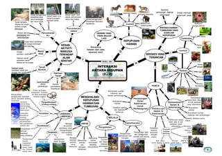 www.petaminda.com
Sungai
semakin cetek
Mengelakkan
pembaziran dan
kerugian
Dijadikan ladang
dan kawasan
kediaman
Musnahkan
habitat
Akibat penggunaan
berlebihan baja,
racun serangga
dan racun kulat
Hakisan tanah
sebabkan tanah
dibawa air ke sungai
Akibat salah urus
bahan buangan/
sampah sarap
Tanah terhakis
dibawa ke sungai;
jadikan sungai
berlumpur
Hujan lebat sebabkan
air sungai melimpah
dan banjir.
Hakisan tanah
sebabkan tanah jadi
longgar dan runtuh
Mengelakkan
penggunaan barangan
dibuat daripada spesies
terancam
Menubuhkan
hutan simpan
Menubuhkan
taman laut
Pengekalan Pengurusan bijak
dan penggunaan
sumber asli secara
sistematik
Mengekalkan
sumber
asli dalam
keadaan
semulajadi
dan
seimbang
Pemeliharaan
Pengekalan
Sukar mencari
keperluan asas
Spesies
kehilangan habitat
semulajadi
Kesemua
haiwan dari satu
spesies mati G
Burung Dodo
Quagga
Harimau Caspia
SerigalaTasmania
Dinosaur
Mammoth
(Gajah purba)
HAIWAN YANG
TIDAK WUJUD
LAGI
SPESIES HAIWAN /
TUMBUHAN YANG
DIANCAM
KEPUPUSAN
Contoh
H
Orang Utan
Panda
gergasi
Tapir
Penyu
belimbing
Burung
Kenyalang
Badak sumbu
Harimau
Gorilla
Paus biru
Gajah
Badak air
Rafflesia
(bunga pakma)
Periuk
kera
Haiwan
Venus
Tumbuhan
Pembalakan
tanpa lesen atau
di luar kawasan
yang dibenarkan
Musnahkan
habitat
Spesies beransur-ansur
pupus
Musnahkan sumber
makanan dan perlindungan
Pembalakan
Haram &
Keterlaluan
Pemburuan tanpa
lesen atau di luar
kawasan yang
dibenarkan
Sebabkan
spesies
terancam
menjadi
pupus
Musnahkan sumber
makanan dan
tempat perlindungan
Penebangan
Hutan
Keterlaluan
Untuk
Pembangunan
Beruang :
untuk
daging &
organ
Gajah:
untuk
daging &
gading
Bua ya:
untuk kulit
Ikan paus:
untuk daging & lemak
Contoh
haiwan
buruan
Pemburuan
Haram &
Keterlaluan
MELALUI
Melindungi
habitat
semulajadi
daripada
kemusnahan
Melindungi
sumber
asli
daripada
kehabisan
Menjaga
populasi
spesies
yang
terancam
Pembalakan
terpilih,
tinggalkan
beberapa
pokok besar
dan banyak
pokok kecil
Penanaman
semula
kawasan
yang ditebang
Pemeliharaan
Timbulkan
kesedaran
tentang
kepentingan
pemeliharaan
dan pengekalan
sumber asli
Kempen
menentang
pembalakan
haram &
keterlaluan
Pendidikan
PUNCA
Menjaga
ekosistem
seimbang untuk
mengurangkan
kemusnahan
habitat
UNTUK
Pihak berkuasa
mengambil tindakan
ke atas pelanggar
undang-undang
Penguatkuasaan
Undang-undang
LANGKAH-
LANGKAH
Kerana
pembalakan
keterlaluan
Tanah terdedah
akibat
penebangan
Hakisan
Tanah
Tanah
Runtuh
Banjir
Kilat
Akibat aktiviti
pembalakan dan
perlombongan
Pencemaran
Air
Akibat salah urus
bahan pencemaran
udara dari kilang Akibat penggunaan
kenderaan bermotor
berlebihan
Pencemaran
Udara
J
1
2
a
a
b
c d
e
f
2
1
a
b
a
b
c
c
d
e
f
a
b
g
j
k
i
h
3
c a
b
1
2
3
4
1
2
3
a
cd
b
12
1
2
3
a
b
1
1
abc
d
a
b
c
d
1
2
1
2
1
2
3
1
1
2
3
4
5
a
b
a
a
c
a
b
c
d
a
b
2
INTERAKSI
ANTARA HIDUPAN
(2 - 2)
TAHUN 6 UNIT 1
KEPUPUSAN
HAIWAN
SPESIES YANG
TERANCAM
Contoh
3MENGHALANG
KEPUPUSAN
HAIWAN DAN
TUMBUHAN
2
KESAN
AKTIVITI
MANUSIA
TERHADAP
ALAM
SEKITAR
b
I
 