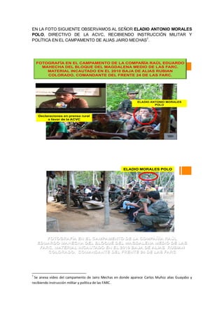 EN LA FOTO SIGUIENTE OBSERVAMOS AL SEÑOR ELADIO ANTONIO MORALES
POLO, DIRECTIVO DE LA ACVC, RECIBIENDO INSTRUCCIÓN MILITAR Y
POLÍTICA EN EL CAMPAMENTO DE ALIAS JAIRO MECHAS7
.
7
Se anexa video del campamento de Jairo Mechas en donde aparece Carlos Muñoz alias Guayabo y
recibiendo instrucción militar y política de las FARC.
ELADIO MORALES POLO
FOTOGRAFÍA EN EL CAMPAMENTO DE LA COMPAÑÍA RAÚL
EDUARDO MAHECHA DEL BLOQUE DEL MAGDALENA MEDIO DE LAS
FARC, MATERIAL INCAUTADO EN EL 2010 BAJA DE ALIAS RUBIAN
COLORADO, COMANDANTE DEL FRENTE 24 DE LAS FARC
ELADIO ANTONIO MORALES
POLO
Declaraciones en prensa rural
a favor de la ACVC
FOTOGRAFÍA EN EL CAMPAMENTO DE LA COMPAÑÍA RAÚL EDUARDO
MAHECHA DEL BLOQUE DEL MAGDALENA MEDIO DE LAS FARC.
MATERIAL INCAUTADO EN EL 2010 BAJA DE ALIAS RUBIAN
COLORADO, COMANDANTE DEL FRENTE 24 DE LAS FARC.
 