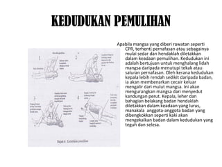 KEDUDUKAN PEMULIHAN
Apabila mangsa yang diberi rawatan seperti
CPR, terhenti pernafasan atau sebagainya
mulai sedar dan hendaklah diletakkan
dalam keadaan pemulihan. Kedudukan ini
adalah bertujuan untuk menghalang lidah
mangsa daripada menutupi tekak atau
saluran pernafasan. Oleh kerana kedudukan
kepala lebih rendah sedikit daripada badan,
ia akan membenarkan cecair keluar
mengalir dari mulut mangsa. Ini akan
mengurangkan mangsa dari menyedut
kandungan perut. Kepala, leher dan
bahagian belakang badan hendaklah
diletakkan dalam keadaan yang lurus,
manakala anggota-anggota badan yang
dibengkokkan seperti kaki akan
mengekalkan badan dalam kedudukan yang
teguh dan selesa.
 