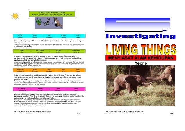 Nota Peta Minda Tahun 4 5 6 Sains