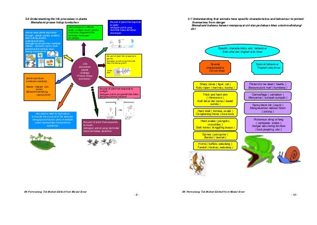 Nota peta minda tahun 4,5,6 sains