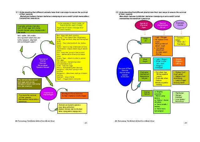 Nota peta minda tahun 4,5,6 sains~2010