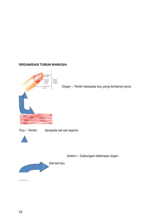 ORGANISASI TUBUH MANUSIA




                             Organ – Terdiri daripada tisu yang berlainan jenis




Tisu – Terdiri   daripada sel-sel sejenis




                                   Sistem – Gabungan beberapa organ

                    Sel-sel tisu




22
 
