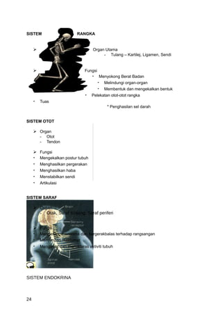 SISTEM                        RANGKA


                                   Organ Utama
                                         - Tulang – Kartilej, Ligamen, Sendi


                               Fungsi
                                    •    Menyokong Berat Badan
                                         •   Melindungi organ-organ
                                         •   Membentuk dan mengekalkan bentuk
                                •   Pelekatan otot-otot rangka
     •   Tuas
                                              * Penghasilan sel darah


SISTEM OTOT

      Organ
       - Otot
       - Tendon

        Fungsi
     •   Mengekalkan postur tubuh
     •   Menghasilkan pergerakan
     •   Menghasilkan haba
     •   Menstabilkan sendi
     •   Artikulasi


SISTEM SARAF

      Organ
       - Otak, Saraf tunjang, Saraf periferi


        Fungsi
     •   Mengesan, menerima dan bergerakbalas terhadap rangsangan
     •   Menyimpan maklumat
     •   Mengawal dan menyelaras aktiviti tubuh




SISTEM ENDOKRINA



24
 