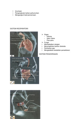 •   Imunisasi
     •   Pengangkutan bahan perkumuhan
     •   Mengangkut hasil pencernaan




SISTEM RESPIRATORI


                                            Organ
                                             - Hidung
                                             - Salur udara
                                             - Paru-paru
                                            Fungsi
                                           • Membekalkan oksigen
                                           • Menyingkirkan karbon dioksida
                                           • Pertukaran gas
                                           • Mengekalkan kestabilan persekitaran

                                         SISTEM PENCERNAAN



      Organ
       - Mulut
       - Organ pencernaan



      Fungsi
       - Penguraian makanan
       - Perkumuhan




SISTEM URINARI



      Organ
       - Ginjal
       - Ureter


26
 