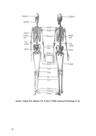 Sumber : Seeley, R.R., Stephen, T.D., & Tate, P. (1998). Anatomy & Physiology. 4 th ed.




31
 