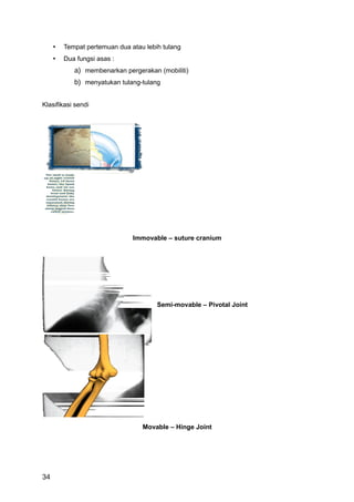 •   Tempat pertemuan dua atau lebih tulang
     •   Dua fungsi asas :
            a) membenarkan pergerakan (mobiliti)
            b) menyatukan tulang-tulang


Klasifikasi sendi




                               Immovable – suture cranium




                                       Semi-movable – Pivotal Joint




                                  Movable – Hinge Joint




34
 