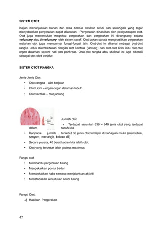 SISTEM OTOT

Kajian menunjukkan bahan dan reka bentuk struktur sendi dan sokongan yang tegar
menyebabkan pergerakan dapat dilakukan. Pergerakan dihasilkan oleh penguncupan otot.
Otot juga menentukan magnitud pergerakan dan pergerakan ini dirangsang secara
voluntary atau involuntary oleh sistem saraf. Otot bukan sahaja menghasilkan pergerakan
malahan otot juga mempunyai fungsi-fungsi lain. Otot-otot ini dikenal sebagai otot-otot
rangka untuk membezakan dengan otot kardiak (jantung) dan otot-otot licin iaitu otot-otot
organ dalaman seperti hati dan pankreas. Otot-otot rangka atau skeletal ini juga dikenali
sebagai otot-otot berjalur.



SISTEM OTOT RANGKA


Jenis-Jenis Otot
     •   Otot rangka – otot berjalur
     •   Otot Licin – organ-organ dalaman tubuh
     •   Otot kardiak – otot jantung




                                 Jumlah otot
                                  • Terdapat sejumlah 639 – 640 jenis otot yang terdapat
         dalam                   tubuh kita
     •   Daripada   jumlah     tersebut 30 jenis otot terdapat di bahagian muka (mencebek,
         senyum, menangis, ketawa dll)
     •   Secara purata, 40 berat badan kita ialah otot.
     •   Otot yang terbesar ialah gluteus maximus.


Fungsi otot
     •   Membantu pergerakan tulang
     •   Mengekalkan postur badan
     •   Membekalkan haba semasa menjalankan aktiviti
     •   Menstabilkan kedudukan sendi tulang




Fungsi Otot :
     1) Hasilkan Pergerakan




47
 