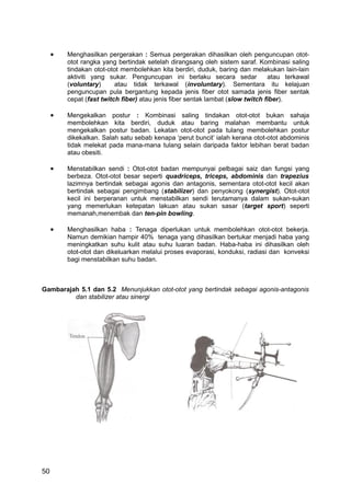 •   Menghasilkan pergerakan : Semua pergerakan dihasilkan oleh penguncupan otot-
         otot rangka yang bertindak setelah dirangsang oleh sistem saraf. Kombinasi saling
         tindakan otot-otot membolehkan kita berdiri, duduk, baring dan melakukan lain-lain
         aktiviti yang sukar. Penguncupan ini berlaku secara sedar              atau terkawal
         (voluntary)      atau tidak terkawal (involuntary). Sementara itu kelajuan
         penguncupan pula bergantung kepada jenis fiber otot samada jenis fiber sentak
         cepat (fast twitch fiber) atau jenis fiber sentak lambat (slow twitch fiber).

     •   Mengekalkan postur : Kombinasi saling tindakan otot-otot bukan sahaja
         membolehkan kita berdiri, duduk atau baring malahan membantu untuk
         mengekalkan postur badan. Lekatan otot-otot pada tulang membolehkan postur
         dikekalkan. Salah satu sebab kenapa ‘perut buncit’ ialah kerana otot-otot abdominis
         tidak melekat pada mana-mana tulang selain daripada faktor lebihan berat badan
         atau obesiti.

     •   Menstabilkan sendi : Otot-otot badan mempunyai pelbagai saiz dan fungsi yang
         berbeza. Otot-otot besar seperti quadriceps, triceps, abdominis dan trapezius
         lazimnya bertindak sebagai agonis dan antagonis, sementara otot-otot kecil akan
         bertindak sebagai pengimbang (stabilizer) dan penyokong (synergist). Otot-otot
         kecil ini berperanan untuk menstabilkan sendi terutamanya dalam sukan-sukan
         yang memerlukan ketepatan lakuan atau sukan sasar (target sport) seperti
         memanah,menembak dan ten-pin bowling.

     •   Menghasilkan haba : Tenaga diperlukan untuk membolehkan otot-otot bekerja.
         Namun demikian hampir 40% tenaga yang dihasilkan bertukar menjadi haba yang
         meningkatkan suhu kulit atau suhu luaran badan. Haba-haba ini dihasilkan oleh
         otot-otot dan dikeluarkan melalui proses evaporasi, konduksi, radiasi dan konveksi
         bagi menstabilkan suhu badan.



Gambarajah 5.1 dan 5.2 Menunjukkan otot-otot yang bertindak sebagai agonis-antagonis
         dan stabilizer atau sinergi




50
 