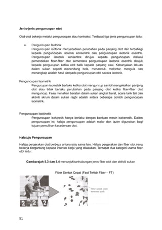 Jenis-jenis penguncupan otot

Otot-otot bekerja melalui penguncupan atau kontraksi. Terdapat tiga jenis penguncupan iaitu:

     •      Penguncupan Isotonik
            Penguncupan isotonik menyebabkan perubahan pada panjang otot dan terbahagi
            kepada penguncupan isotonik konsentrik dan penguncupan isotonik esentrik.
            Penguncupan isotonik konsentrik dirujuk kepada penguncupan melalui
            pemendekan fiber-fiber otot sementara penguncupan isotonik esentrik dirujuk
            kepada pengucupan ketika otot balik kepada panjang asal. Kebanyakan lakuan
            dalam sukan seperti menendang bola, menanduk, melontar, menguis dan
            menangkap adalah hasil daripada penguncupan otot secara isotonik.

Penguncupan Isometrik
       Pengucupan isometrik berlaku ketika otot menguncup sambil mengekalkan panjang
       otot atau tidak berlaku perubahan pada panjang otot ketika fiber-fiber otot
       menguncup. Fasa menahan beratan dalam sukan angkat berat, acara tarik tali dan
       aktiviti skrum dalam sukan ragbi adalah antara beberapa contoh penguncupan
       isometrik.



Penguncupan Isokinetik
       Penguncupan isokinetik hanya berlaku dengan bantuan mesin isokenetik. Dalam
       penguncupan ini, halaju penguncupan adalah malar dan lazim digunakan bagi
       tujuan pemulihan kecederaan otot.


Halatuju Penguncupan

Halaju pergerakan otot berbeza antara satu sama lain. Halaju pergerakan dan fiber otot yang
bekerja bergantung kepada intensiti kerja yang dilakukan. Terdapat dua kategori utama fiber
otot iaitu :


         Gambarajah 5.3 dan 5.4 menunjukkanhubungan jenis fiber otot dan aktiviti sukan


                             Fiber Sentak Cepat (Fast Twitch Fiber – FT)




51
 