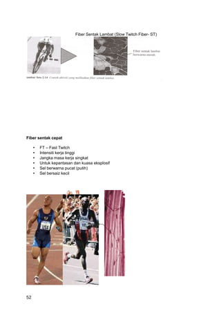 Fiber Sentak Lambat (Slow Twitch Fiber- ST)




Fiber sentak cepat

     •   FT – Fast Twitch
     •   Intensiti kerja tinggi
     •   Jangka masa kerja singkat
     •   Untuk kepantasan dan kuasa eksplosif
     •   Sel berwarna pucat (putih)
     •   Sel bersaiz kecil




52
 