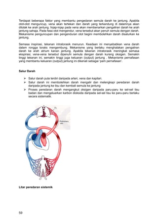 Terdapat beberapa faktor yang membantu pengedaran semula darah ke jantung. Apabila
otot-otot menguncup, vena akan tertekan dan darah yang terkandung di dalamnya akan
ditolak ke arah jantung. Injap-injap pada vena akan membenarkan pengaliran darah ke arah
jantung sahaja. Pada fasa otot mengendur, vena tersebut akan penuh semula dengan darah.
Mekanisme penguncupan dan pengenduran otot begini membolehkan darah disalurkan ke
jantung.

Semasa inspirasi, tekanan intratorasik menurun. Keadaan ini menyebabkan vena darah
dalam rongga toraks mengembung. Mekanisme yang berlaku menghalakan pengaliran
darah ke arah atrium kanan jantung. Apabila tekanan intratorasik meningkat semasa
ekspirasi, vena-vena tersebut dipenuhi semula dengan darah kurang oksigen. Semakin
tinggi tekanan ini, semakin tinggi juga keluaran (output) jantung . Mekanisme pernafasan
yang membantu keluaran (output) jantung ini dikenali sebagai ‘pam pernafasan’.


Salur Darah

      Salur darah pula terdiri daripada arteri, vena dan kapilari.
      Salur darah ini membolehkan darah mengalir dan melengkapi peredaran darah
       daripada jantung ke tisu dan kembali semula ke jantung
      Proses peredaran darah mengangkut oksigen daripada paru-paru ke sel-sel tisu
       badan dan mengeluarkan karbon dioksida daripada sel-sel tisu ke paru-paru berlaku
       secara sistematik.




Litar peredaran sistemik




59
 
