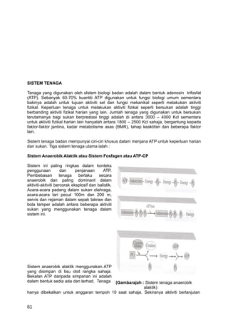 SISTEM TENAGA

Tenaga yang digunakan oleh sIstem biologi badan adalah dalam bentuk adenosin trifosfat
(ATP). Sebanyak 60-70% kuantiti ATP digunakan untuk fungsi biologi umum sementara
bakinya adalah untuk tujuan aktiviti sel dan fungsi mekanikal seperti melakukan aktiviti
fizikal. Keperluan tenaga untuk melakukan aktiviti fizikal seperti bersukan adalah tinggi
berbanding aktiviti fizikal harian yang lain. Jumlah tenaga yang digunakan untuk bersukan
terutamanya bagi sukan berprestasi tinggi adalah di antara 3000 – 4000 Kcl sementara
untuk aktiviti fizikal harian lain hanyalah antara 1800 – 2500 Kcl sahaja, bergantung kepada
faktor-faktor jantina, kadar metabolisme asas (BMR), tahap keaktifan dan beberapa faktor
lain.

Sistem tenaga badan mempunyai ciri-ciri khusus dalam menjana ATP untuk keperluan harian
dan sukan. Tiga sistem tenaga utama ialah :

Sistem Anaerobik Alaktik atau Sistem Fosfagen atau ATP-CP

Sistem ini paling ringkas dalam konteks
penggunaan           dan     penjanaan      ATP.
Pembebasan          tenaga    berlaku     secara
anaerobik dan paling dominant dalam
aktiviti-aktiviti bercorak eksplosif dan balistik.
Acara-acara padang dalam sukan olahraga,
acara-acara lari pecut 100m dan 200 m,
servis dan rejaman dalam sepak takraw dan
bola tamper adalah antara beberapa aktiviti
sukan yang menggunakan tenaga dalam
sistem ini.




Sistem anaerobik alaktik menggunakan ATP
yang disimpan di tisu otot rangka sahaja.
Bekalan ATP daripada simpanan ini adalah
dalam bentuk sedia ada dan terhad. Tenaga (Gambarajah : Sistem tenaga anaerobik
                                                       alaktik)
hanya dibekalkan untuk anggaran tempoh 10 saat sahaja. Sekiranya aktiviti berlanjutan


61
 