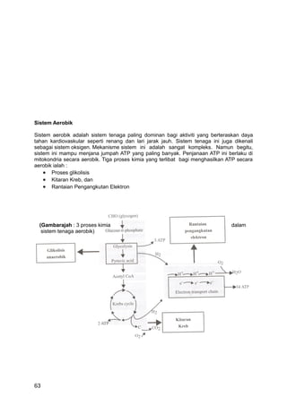 Sistem Aerobik

Sistem aerobik adalah sistem tenaga paling dominan bagi aktiviti yang berteraskan daya
tahan kardiovaskular seperti renang dan lari jarak jauh. Sistem tenaga ini juga dikenali
sebagai sistem oksigen. Mekanisme sistem ini adalah sangat kompleks. Namun begitu,
sistem ini mampu menjana jumpah ATP yang paling banyak. Penjanaan ATP ini berlaku di
mitokondria secara aerobik. Tiga proses kimia yang terlibat bagi menghasilkan ATP secara
aerobik ialah :
    • Proses glikolisis
    • Kitaran Kreb, dan
    • Rantaian Pengangkutan Elektron




  (Gambarajah : 3 proses kimia                                                 dalam
   sistem tenaga aerobik)




63
 