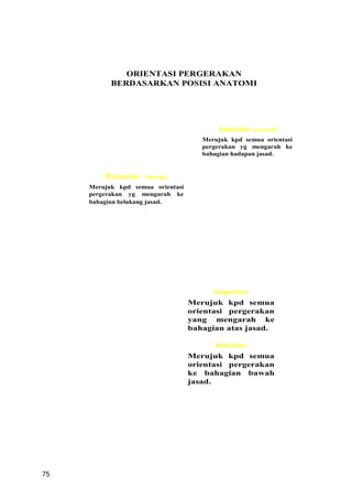 ORIENTASI PERGERAKAN
           BERDASARKAN POSISI ANATOMI




                                          Anterior (ventral)
                                      Merujuk kpd semua orientasi
                                      pergerakan yg mengarah ke
                                      bahagian hadapan jasad.


         Posterior   (dorsal)
     Merujuk kpd semua orientasi
     pergerakan yg mengarah ke
     bahagian belakang jasad.




                                         Superior
                                   Merujuk kpd semua
                                   orientasi pergerakan
                                   yang mengarah ke
                                   bahagian atas jasad.

                                          Inferior
                                   Merujuk kpd semua
                                   orientasi pergerakan
                                   ke bahagian bawah
                                   jasad.




75
 
