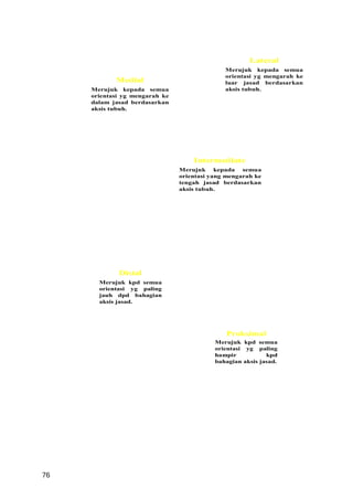 Lateral
                                              Merujuk kepada semua
                                              orientasi yg mengarah ke
            Medial                            luar jasad berdasarkan
     Merujuk kepada semua                     aksis tubuh.
     orientasi yg mengarah ke
     dalam jasad berdasarkan
     aksis tubuh.




                                    Intermediate
                                Merujuk kepada semua
                                orientasi yang mengarah ke
                                tengah jasad berdasarkan
                                aksis tubuh.




             Distal
       Merujuk kpd semua
       orientasi yg paling
       jauh dpd bahagian
       aksis jasad.




                                              Proksimal
                                           Merujuk kpd semua
                                           orientasi yg paling
                                           hampir           kpd
                                           bahagian aksis jasad.




76
 