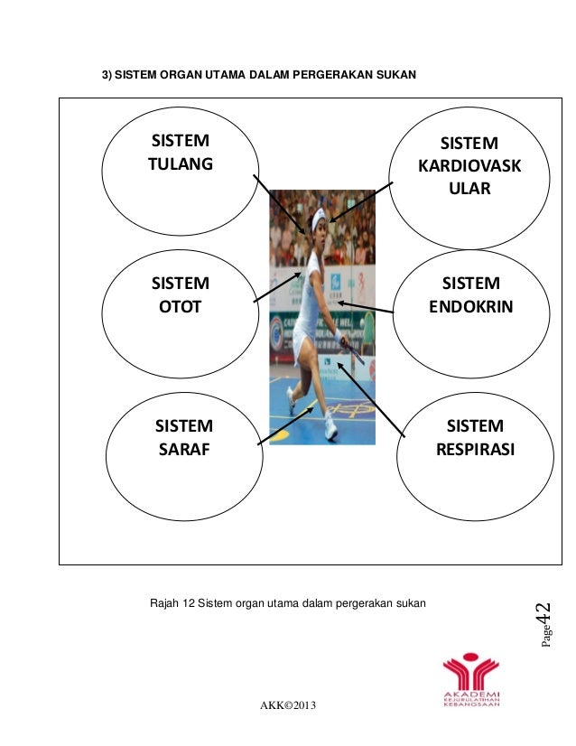 Nota sains sukan tahap i