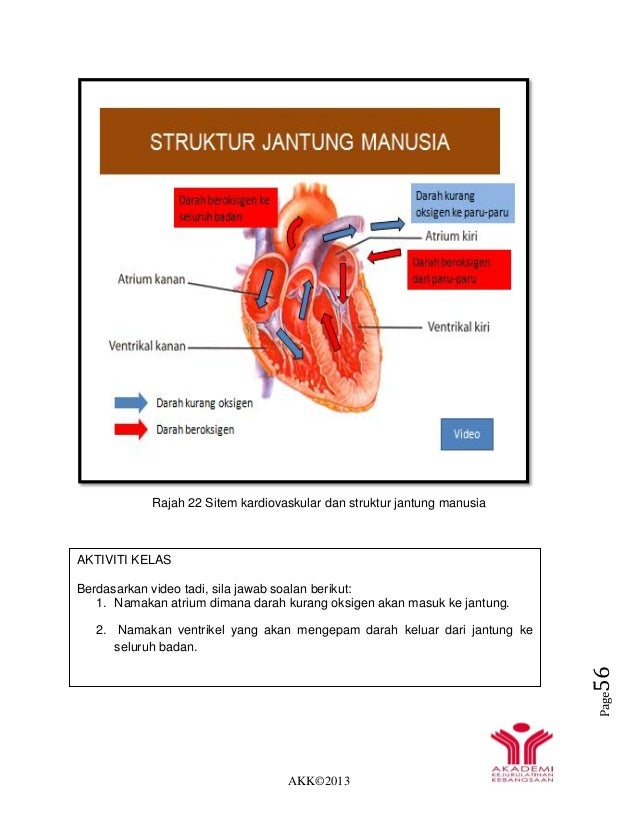 Nota sains sukan tahap i