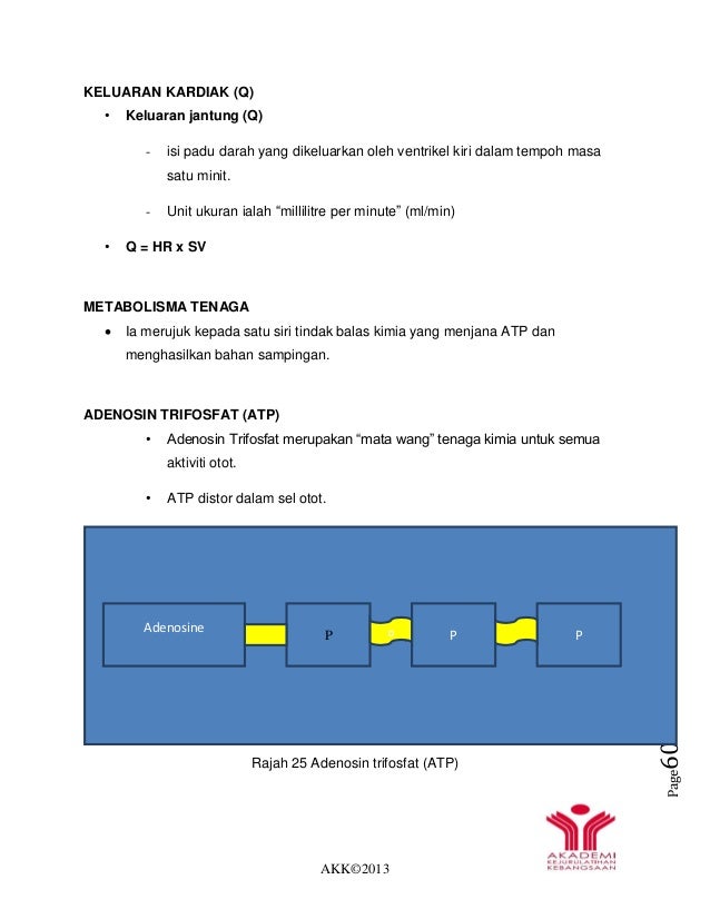 Soalan Sel Darah - Selangor u