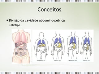 Conceitos
Divisão da cavidade abdomino-pélvica
Biotipo
 