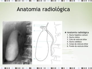 Anatomia radiológica
Anatomia radiológica
1. Ducto hepático comum
2. Ducto cístico
3. Colo da vesícula biliar
4. Ducto colédoco
5. Corpo da vesícula biliar
6. Fundo da vesícula biliar
 
