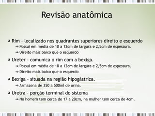Revisão anatômica
Rim – localizado nos quadrantes superiores direito e esquerdo
Possui em média de 10 a 12cm de largura e 2,5cm de espessura.
Direito mais baixo que o esquerdo
Ureter – comunica o rim com a bexiga.
Possui em média de 10 a 12cm de largura e 2,5cm de espessura.
Direito mais baixo que o esquerdo
Bexiga – situada na região hipogástrica.
Armazena de 350 a 500ml de urina.
Uretra – porção terminal do sistema
No homem tem cerca de 17 a 20cm, na mulher tem cerca de 4cm.
 