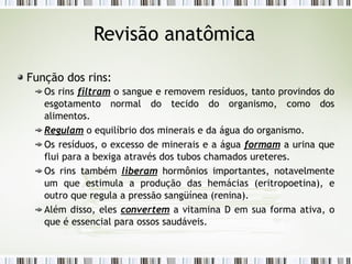 Revisão anatômica
Função dos rins:
Os rins filtram o sangue e removem resíduos, tanto provindos do
esgotamento normal do tecido do organismo, como dos
alimentos.
Regulam o equilíbrio dos minerais e da água do organismo.
Os resíduos, o excesso de minerais e a água formam a urina que
flui para a bexiga através dos tubos chamados ureteres.
Os rins também liberam hormônios importantes, notavelmente
um que estimula a produção das hemácias (eritropoetina), e
outro que regula a pressão sangüínea (renina).
Além disso, eles convertem a vitamina D em sua forma ativa, o
que é essencial para ossos saudáveis.
 