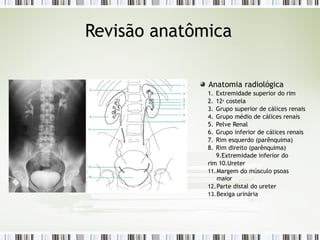 Revisão anatômica
Anatomia radiológica
1. Extremidade superior do rim
2. 12a
costela
3. Grupo superior de cálices renais
4. Grupo médio de cálices renais
5. Pelve Renal
6. Grupo inferior de cálices renais
7. Rim esquerdo (parênquima)
8. Rim direito (parênquima)
9.Extremidade inferior do
rim 10.Ureter
11.Margem do músculo psoas
maior
12.Parte distal do ureter
13.Bexiga urinária
 