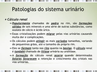 Patologias do sistema urinário
Cálculo renal
Popularmente chamados de pedra no rim, são formações
sólidas de sais minerais e uma série de outras substâncias, como
oxalato de cálcio e ácido úrico.
Essas cristalizações podem migrar pelas vias urinárias causando
muita dor e complicações.
Os cálculos podem atingir os mais variados tamanhos, variando
de pequeninos grãos, até o tamanho do próprio rim.
Eles se formam tanto nos rins quanto na bexiga. O cálculo renal
é também chamado de litíase urinária ou urolitíase.
A formação do cálculo renal ocorre quando determinados
fatores favorecem a retenção e crescimento dos cristais nas
vias urinárias.
 