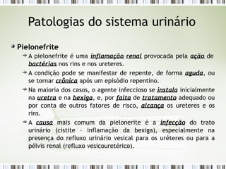 Patologias do sistema urinário
Pielonefrite
A pielonefrite é uma inflamação renal provocada pela ação de
bactérias nos rins e nos ureteres.
A condição pode se manifestar de repente, de forma aguda, ou
se tornar crônica após um episódio repentino.
Na maioria dos casos, o agente infeccioso se instala inicialmente
na uretra e na bexiga, e, por falta de tratamento adequado ou
por conta de outros fatores de risco, alcança os ureteres e os
rins.
A causa mais comum da pielonerite é a infecção do trato
urinário (cistite – inflamação da bexiga), especialmente na
presença do refluxo urinário vesical para os uréteres ou para a
pélvis renal (refluxo vesicouretérico).
 