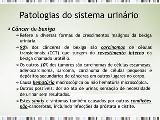 Patologias do sistema urinário
Câncer de bexiga
Refere a diversas formas de crescimentos malignos da bexiga
urinária.
90% dos cânceres de bexiga são carcinomas de células
transicionais (CCT) que surgem do revestimento interno da
bexiga chamado urotélio.
Os outros 10% dos tumores são carcinomas de células escamosas,
adenocarcinoma, sarcoma, carcinoma de células pequenas e
depósitos secundários de cânceres em outros lugares no corpo.
Causa hematúria macroscópica ou não hematúria microscópica.
Outros possíveis: dor ao ato de urinar, sensação de necessidade
de urinar sem resultados.
Estes sinais e sintomas também causados por outras condições
não-cancerosas, incluindo infecções da próstata e cistite.
 