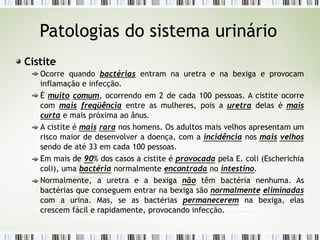 Patologias do sistema urinário
Cistite
Ocorre quando bactérias entram na uretra e na bexiga e provocam
inflamação e infecção.
É muito comum, ocorrendo em 2 de cada 100 pessoas. A cistite ocorre
com mais freqüência entre as mulheres, pois a uretra delas é mais
curta e mais próxima ao ânus.
A cistite é mais rara nos homens. Os adultos mais velhos apresentam um
risco maior de desenvolver a doença, com a incidência nos mais velhos
sendo de até 33 em cada 100 pessoas.
Em mais de 90% dos casos a cistite é provocada pela E. coli (Escherichia
coli), uma bactéria normalmente encontrada no intestino.
Normalmente, a uretra e a bexiga não têm bactéria nenhuma. As
bactérias que conseguem entrar na bexiga são normalmente eliminadas
com a urina. Mas, se as bactérias permanecerem na bexiga, elas
crescem fácil e rapidamente, provocando infecção.
 
