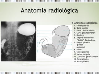 Anatomia radiológica
Anatomia radiológica
1. Fundo gástrico
2. Óstio cárdico
3. Parte cárdica (cárdia)
4. Curva gástrica menor
5. Duodeno
6. Ampola do duodeno
(“bulbo” do duodeno)
7. Pregas gástricas
(parede
posterior)
8. Piloro
9. Corpo gástrico
10. Incisura angular
11.Curvatura gástrica maior
12.Canal pilórico
13.Antro pilórico
 