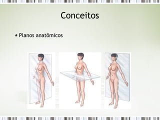 Conceitos
Planos anatômicos
 