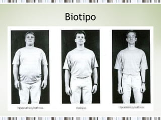 Biotipo
 