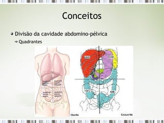 Conceitos
Divisão da cavidade abdomino-pélvica
Quadrantes
 