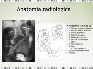 Anatomia radiológica
Anatomia radiológica
1. Flexura esquerda do cólon
2. Flexura direita do cólon
3. Cólon ascendente
4. Cólon transverso
5. Cólon descendente
6. Sáculos (haustros) do
cólon
7. Valva ileocecal
8. Ceco
9.Cólon sigmóide
10.Apêndice vermiforme
11.Reto
 
