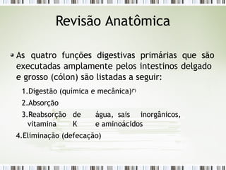 As quatro funções digestivas primárias que são
executadas amplamente pelos intestinos delgado
e grosso (cólon) são listadas a seguir:
1.Digestão (química e mecânica)(*)
2.Absorção
3.Reabsorção de água, sais inorgânicos,
vitamina K e aminoácidos
4.Eliminação (defecação)
Revisão Anatômica
 