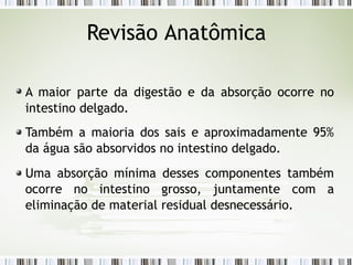A maior parte da digestão e da absorção ocorre no
intestino delgado.
Também a maioria dos sais e aproximadamente 95%
da água são absorvidos no intestino delgado.
Uma absorção mínima desses componentes também
ocorre no intestino grosso, juntamente com a
eliminação de material residual desnecessário.
Revisão Anatômica
 