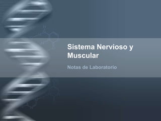 Sistema Nervioso y Muscular Notas de Laboratorio 